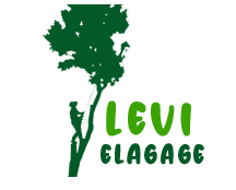elagage-levi-elagage